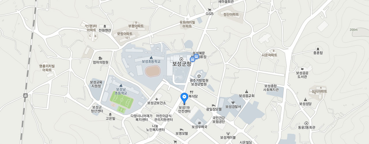 보성119안전센터 지도