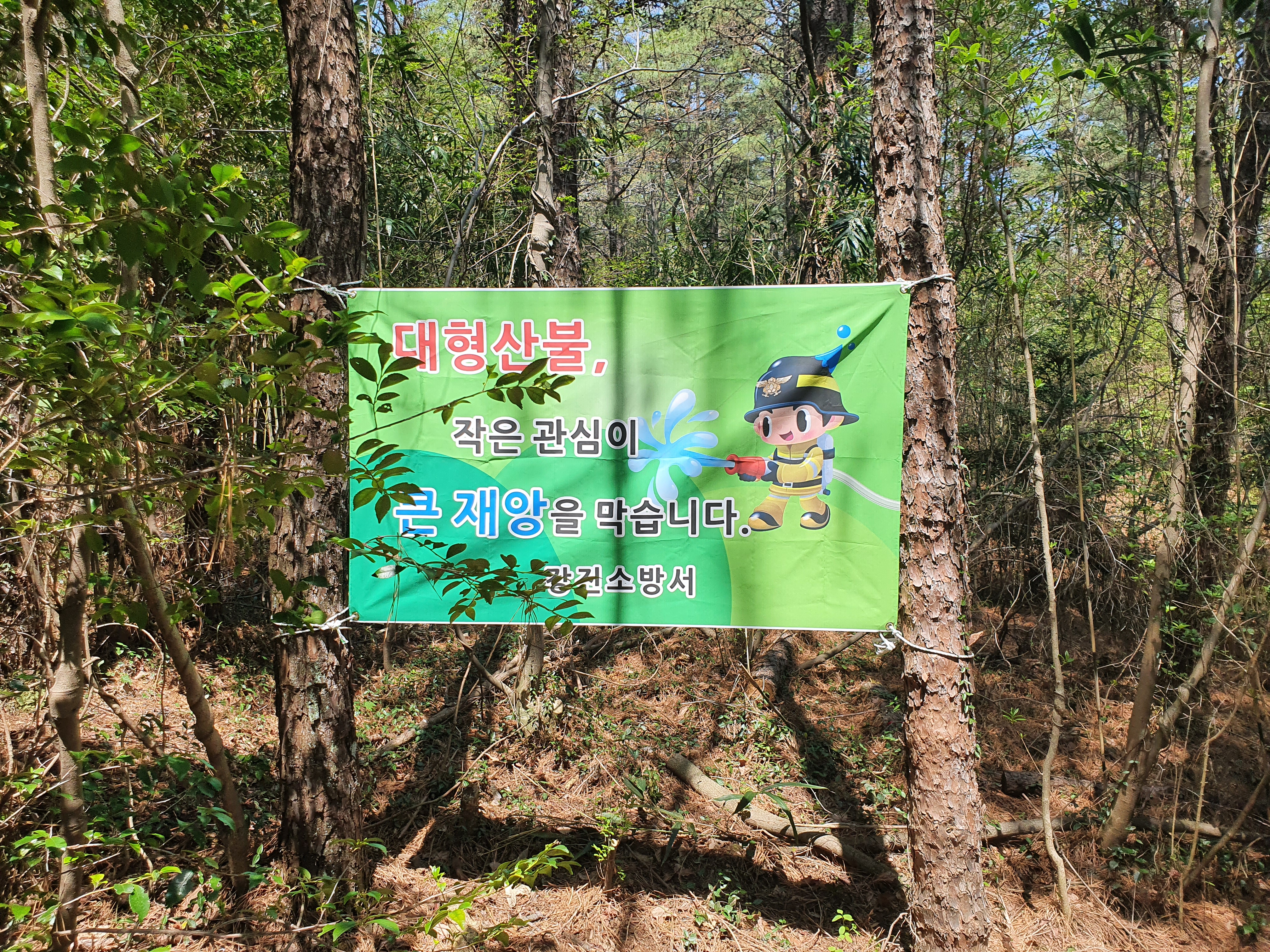 언론홍보(강진소방서, 주요 등산로 산불예방 미니현수막 게첩 추진)_사진.jpg 이미지입니다.
