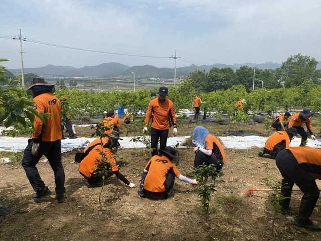 IMG_1156.jpeg 이미지입니다.