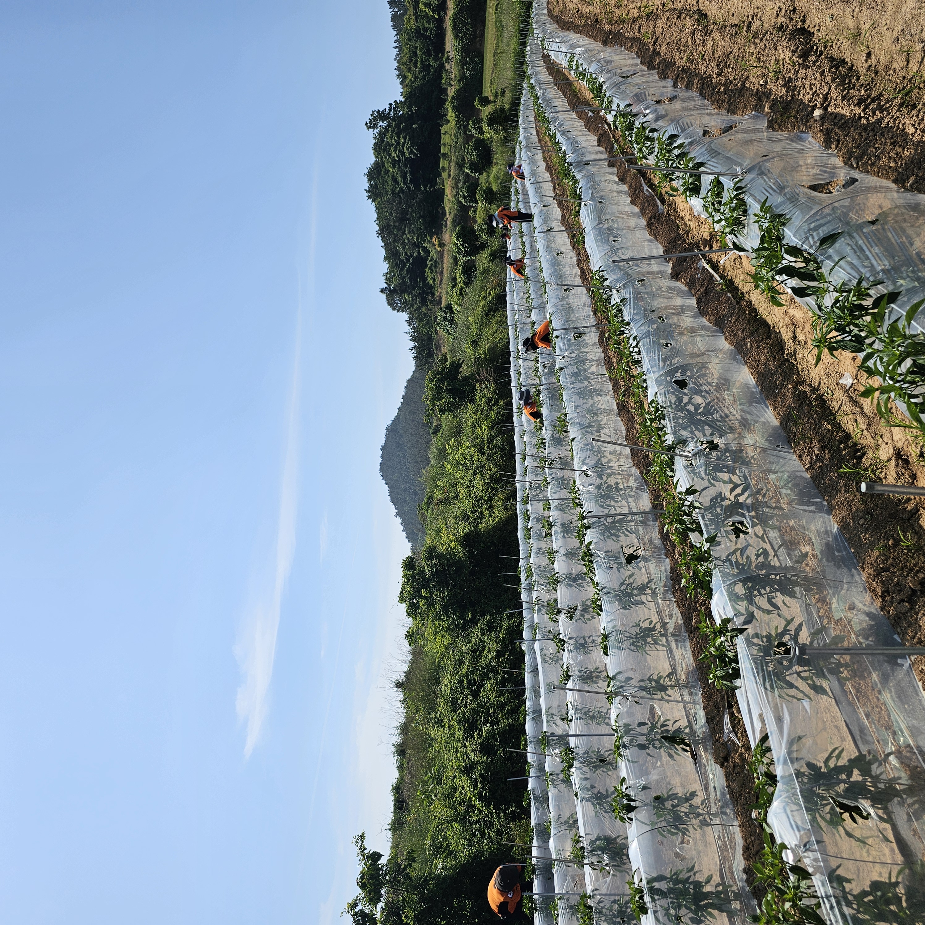20240523_102121.jpg 이미지입니다.