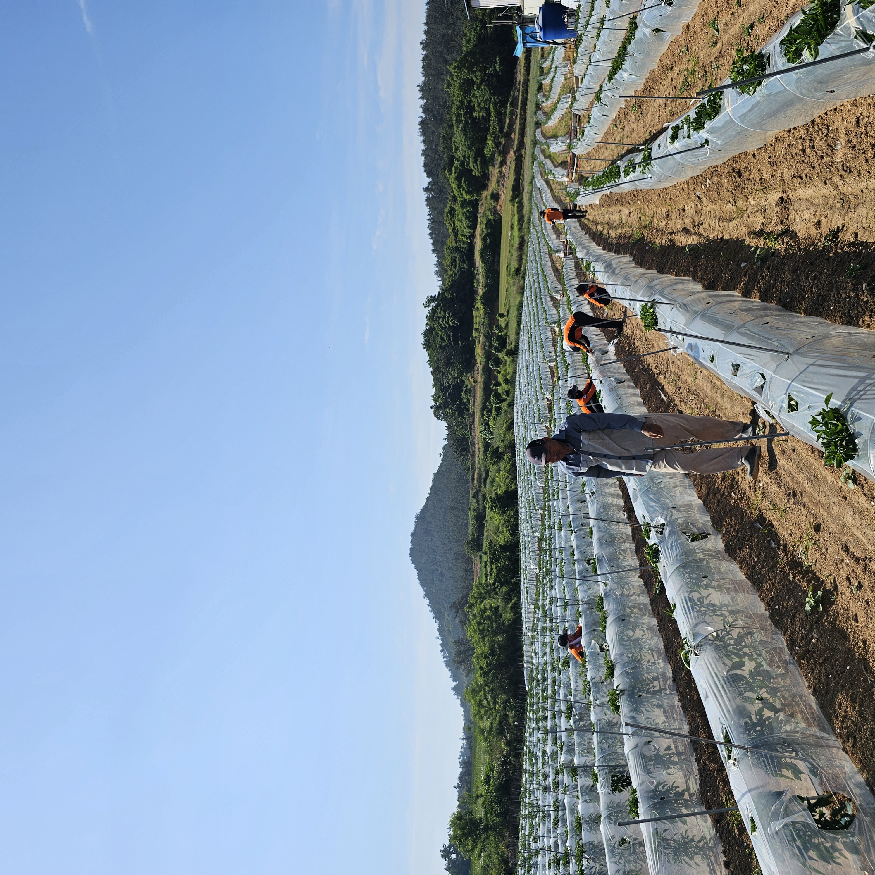 20240523_094509.jpg 이미지입니다.