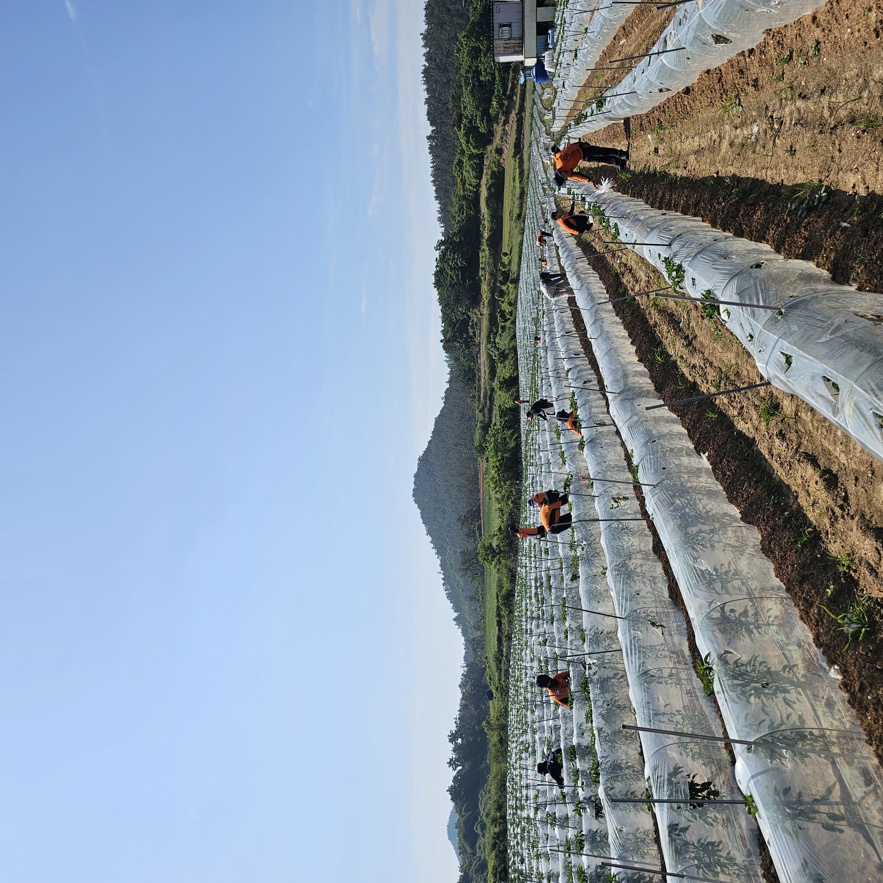 20240523_094545.jpg 이미지입니다.