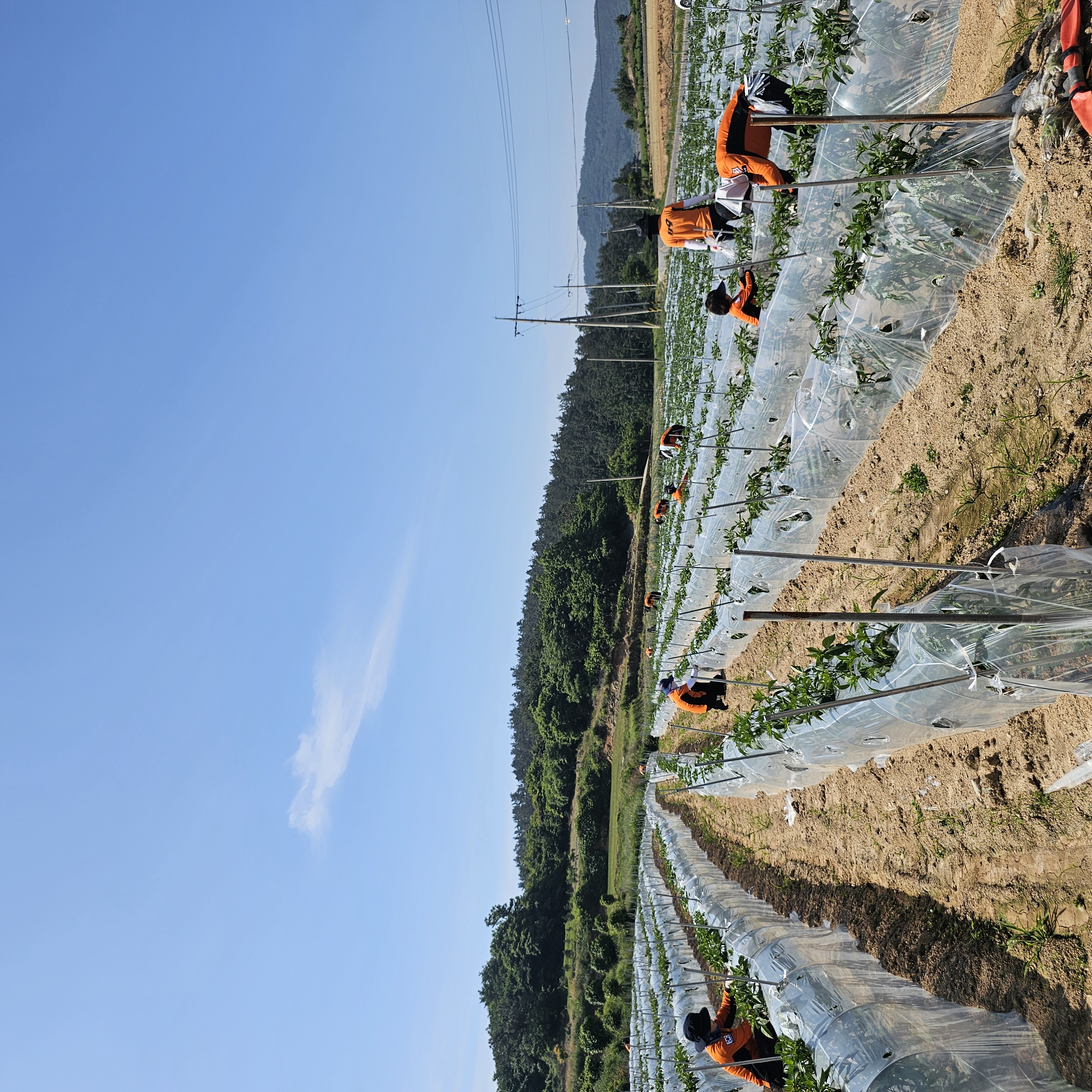 20240523_100803.jpg 이미지입니다.