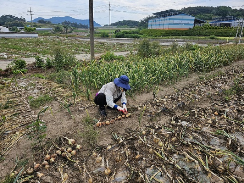 20240530_092512.jpg 이미지입니다.