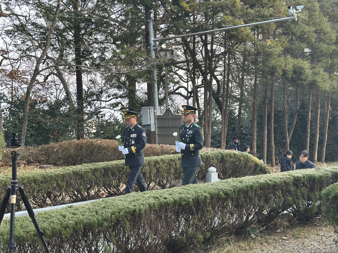 IMG_5176.jpeg 이미지입니다.