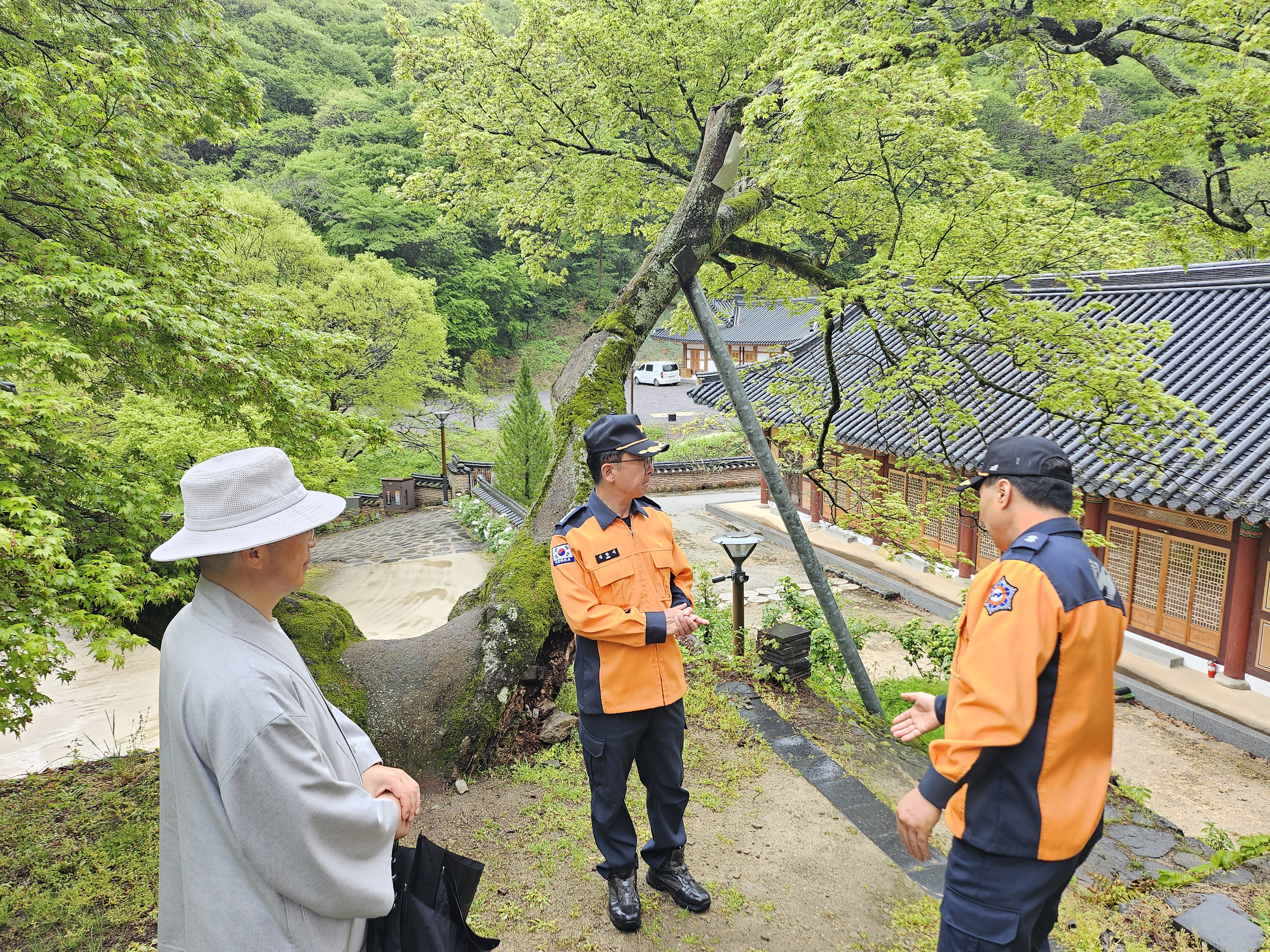 20250422_112234.jpg 이미지입니다.