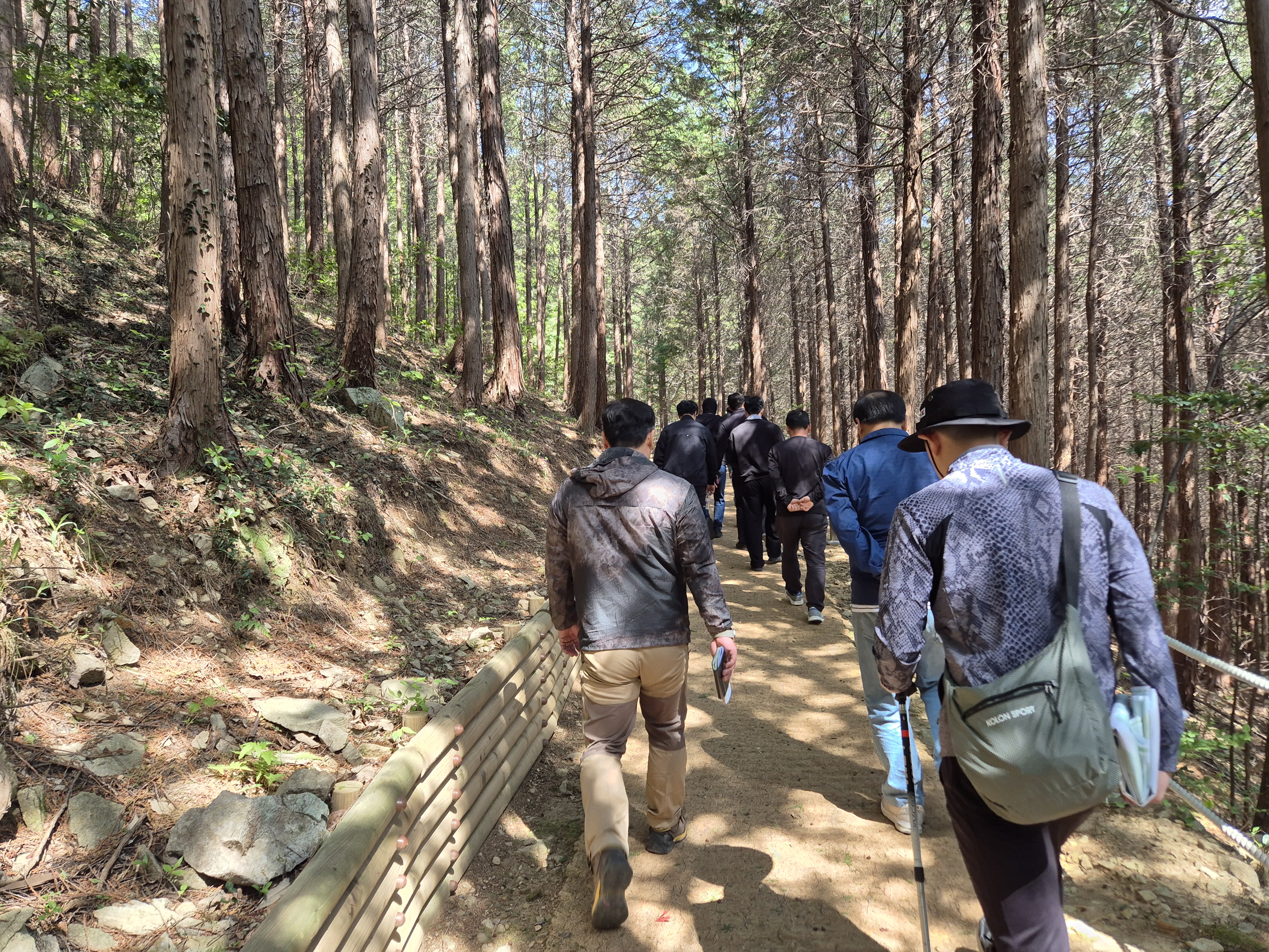 20250429_100635.jpg 이미지입니다.