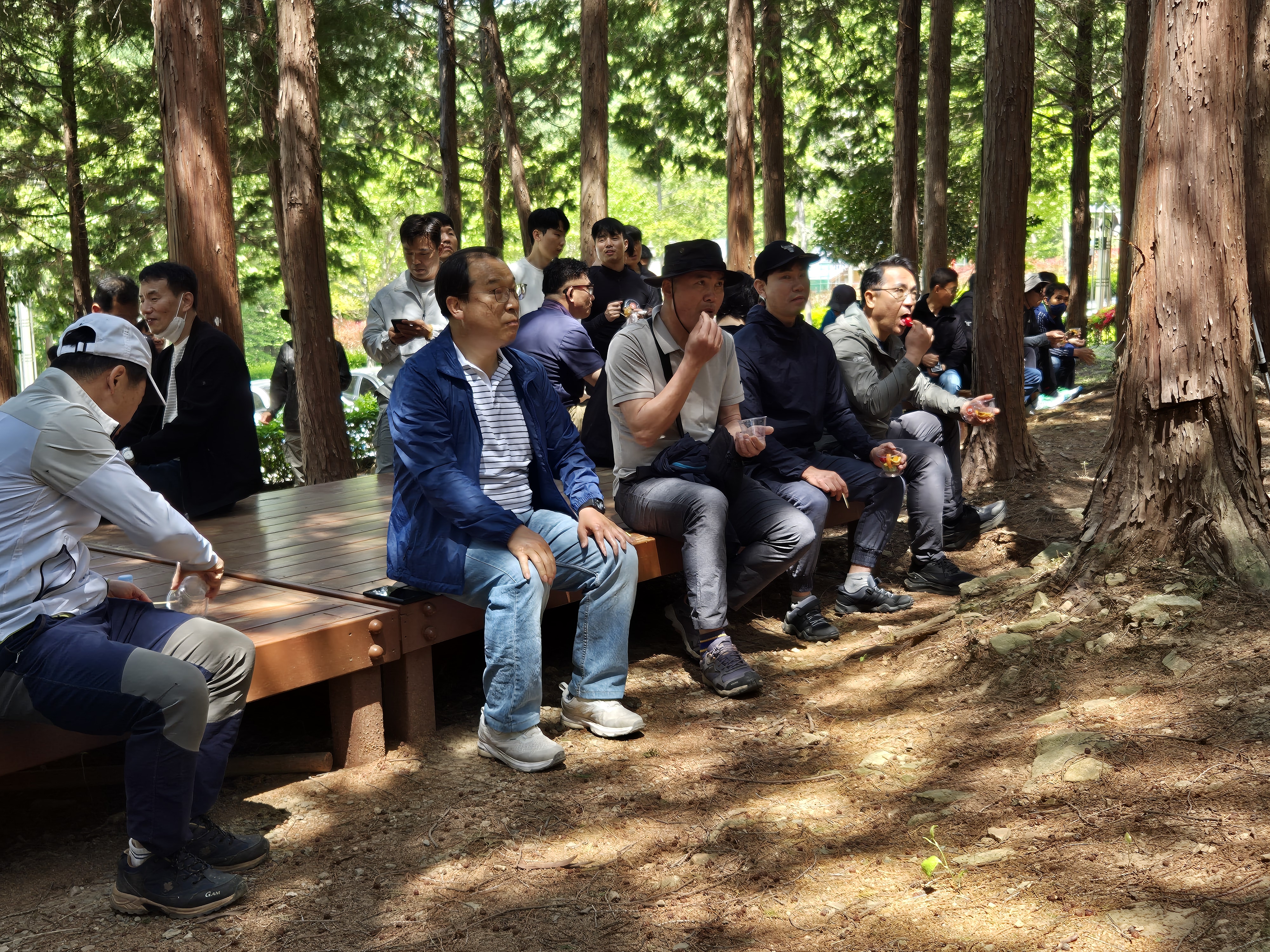 20250429_111247.jpg 이미지입니다.