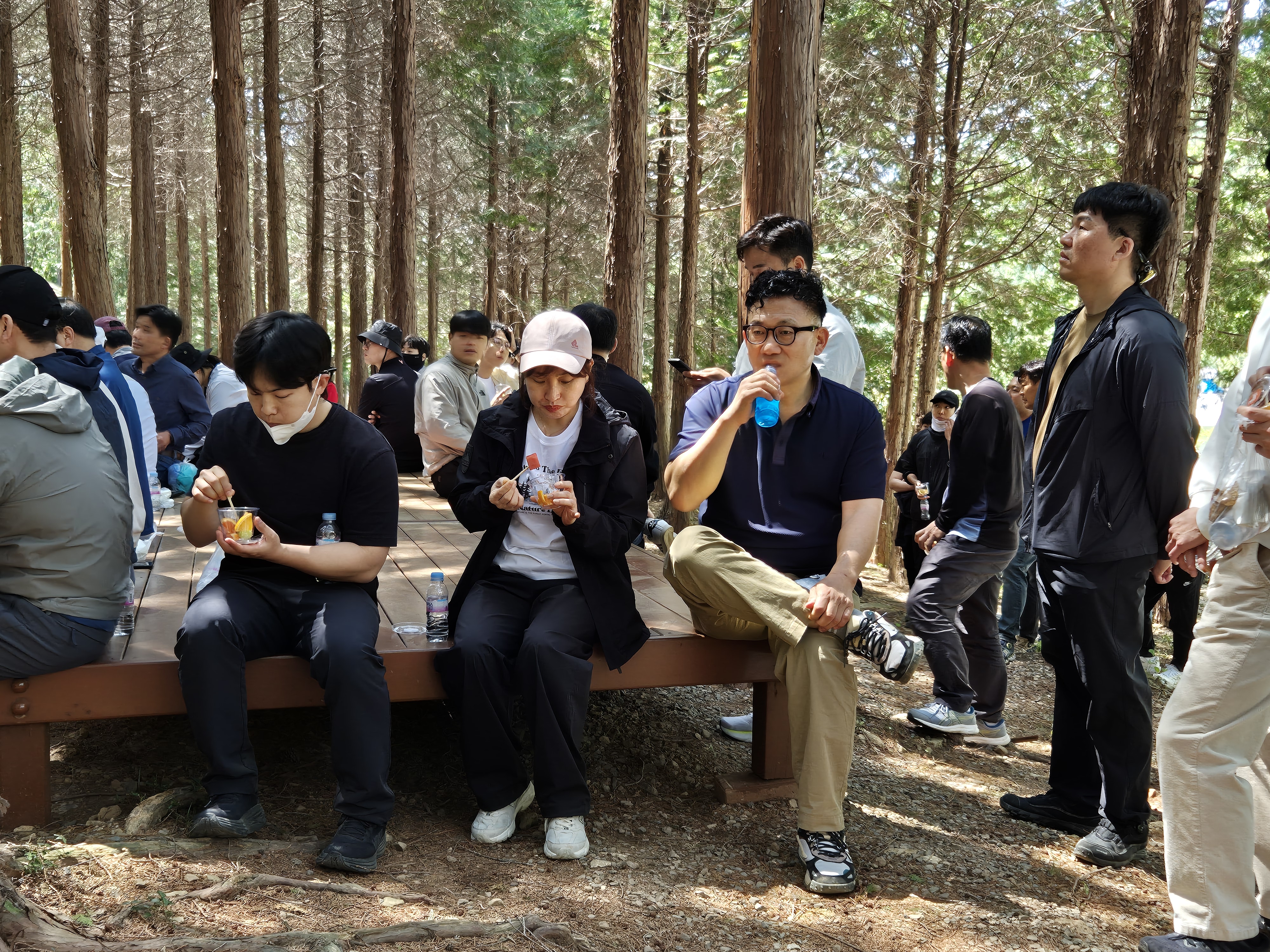 20250429_111304.jpg 이미지입니다.