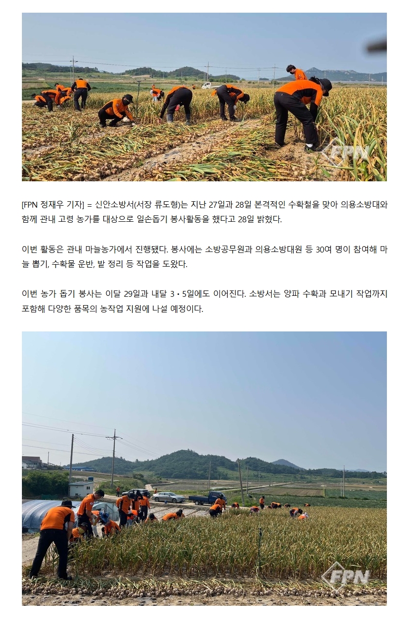 보도31.jpeg 이미지입니다.