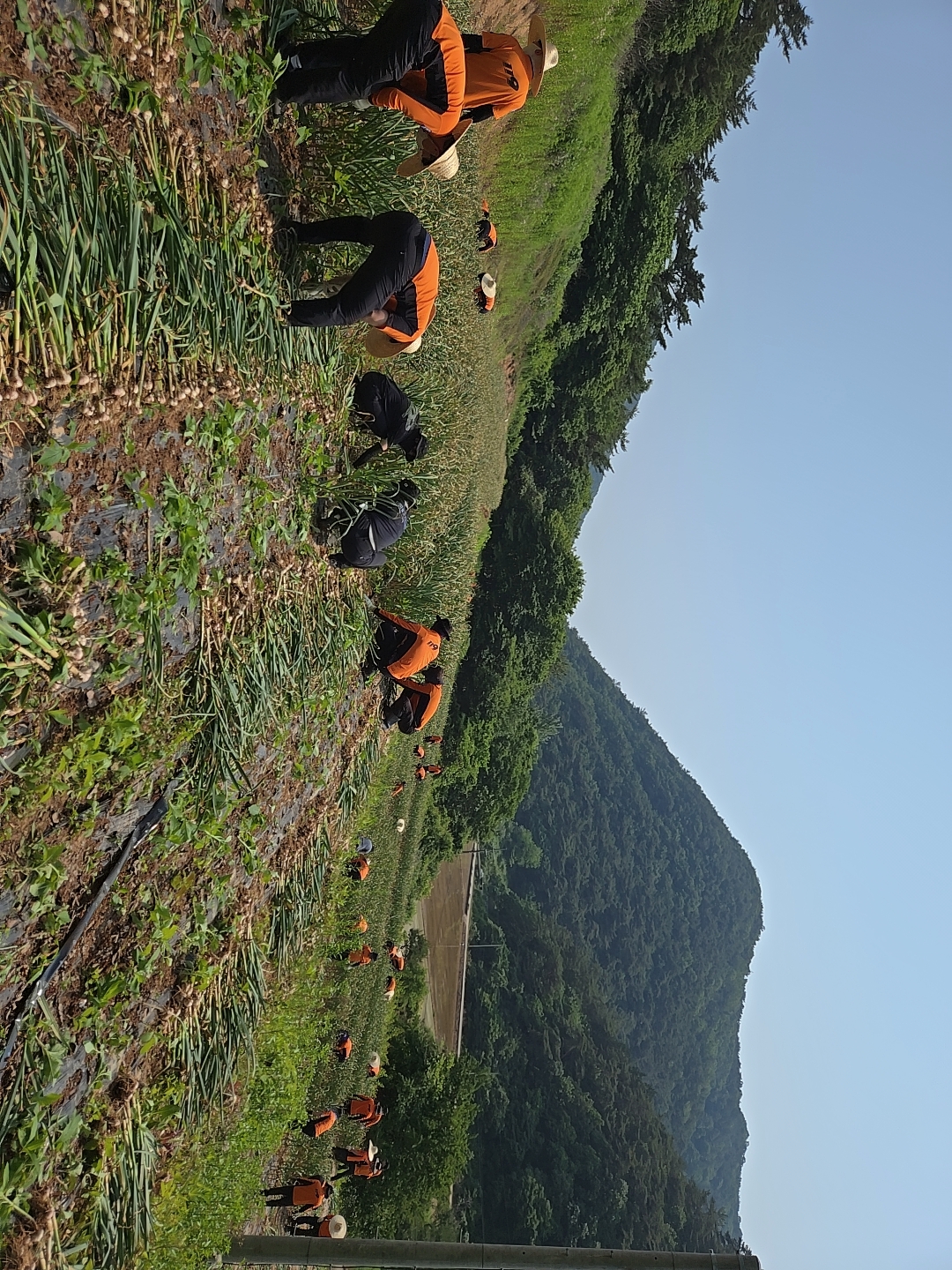 beauty_20250528100333.jpg 이미지입니다.