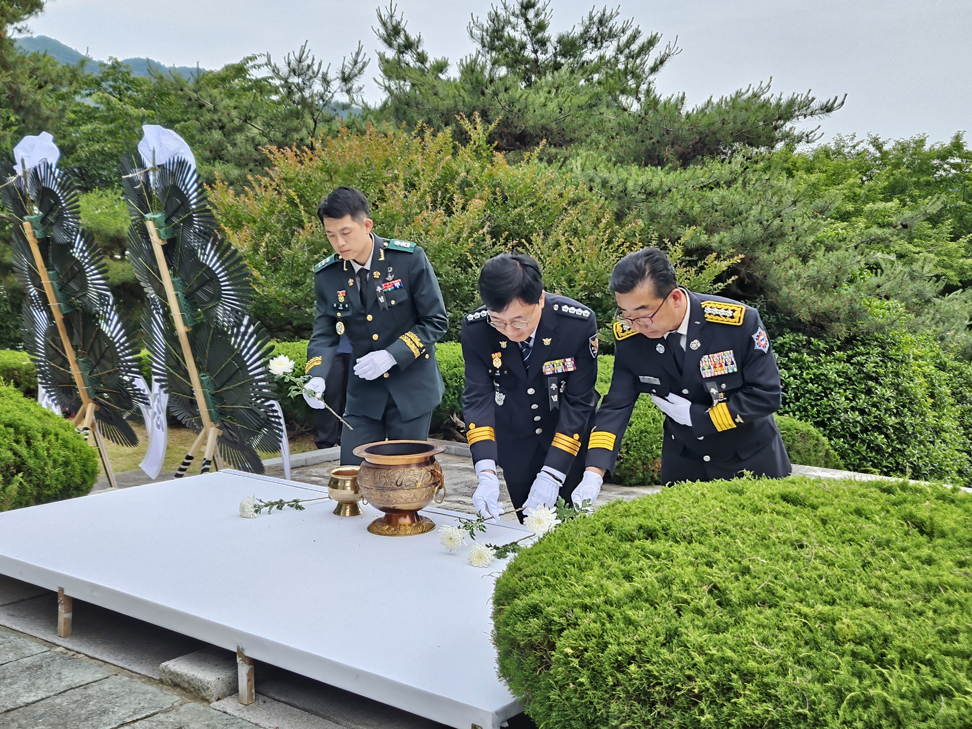 20250606_101410.jpg 이미지입니다.