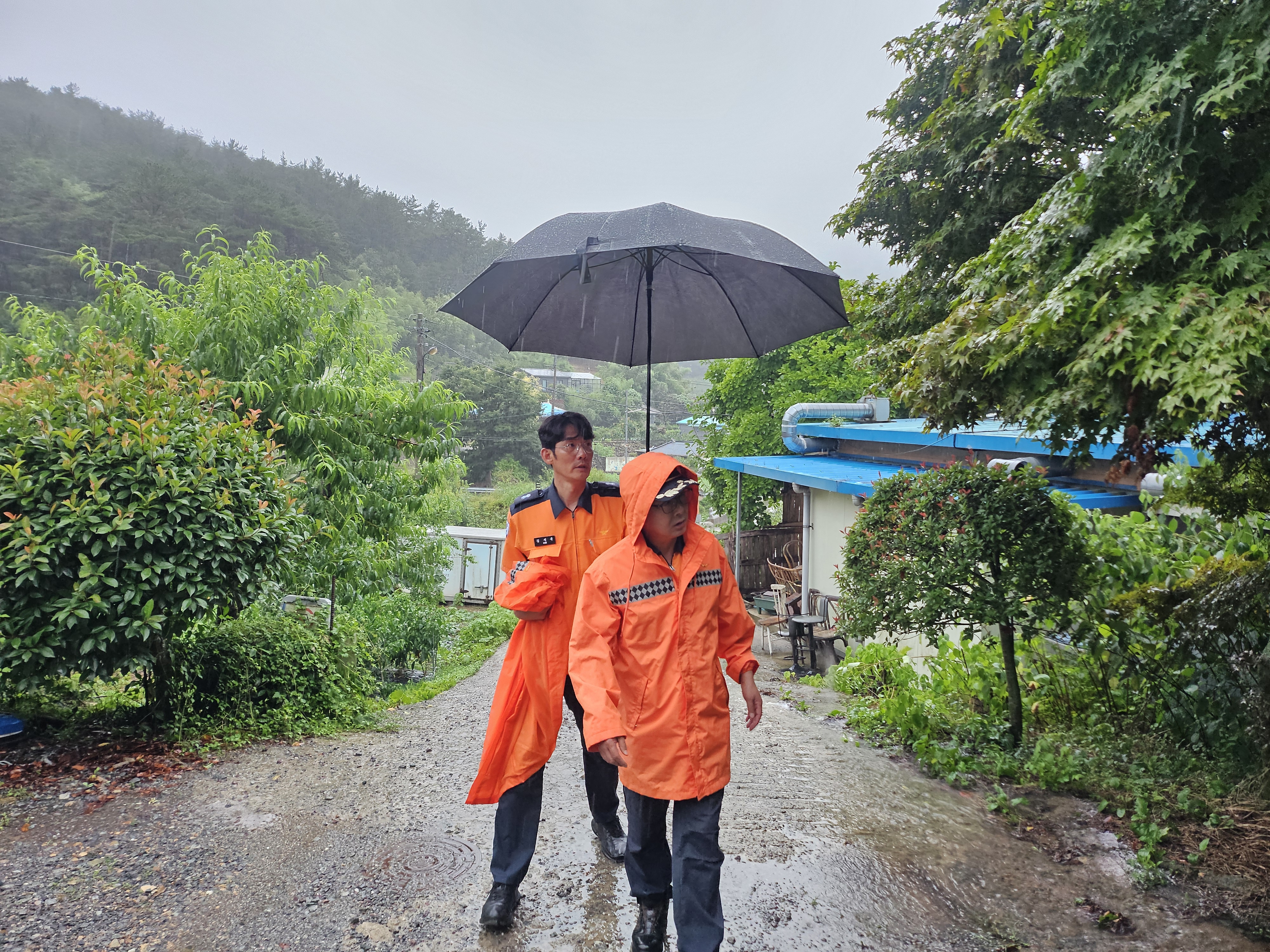 20250717_161457.jpg 이미지입니다.