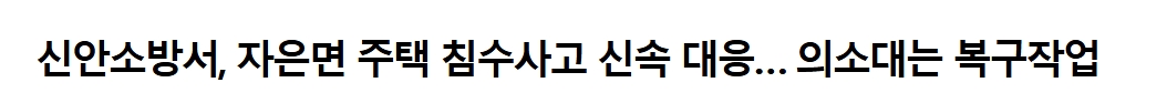 보도.jpeg 이미지입니다.